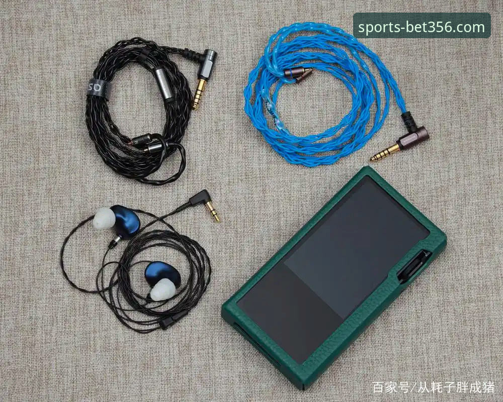资深用户体验分享：bet356体育平台最新版本安全性全解析